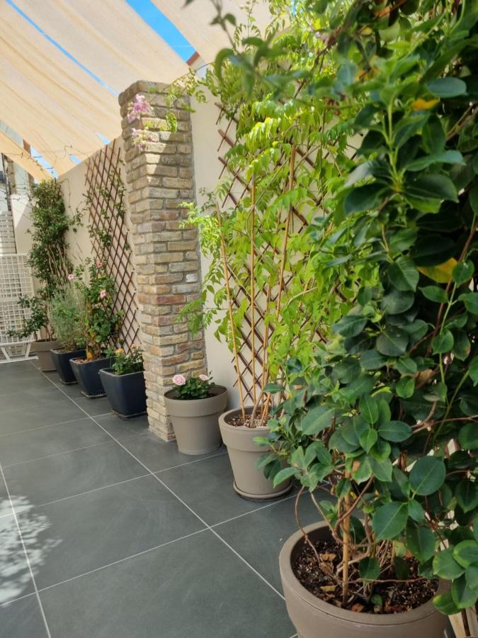 Harmony Residence 카보스 외부 사진